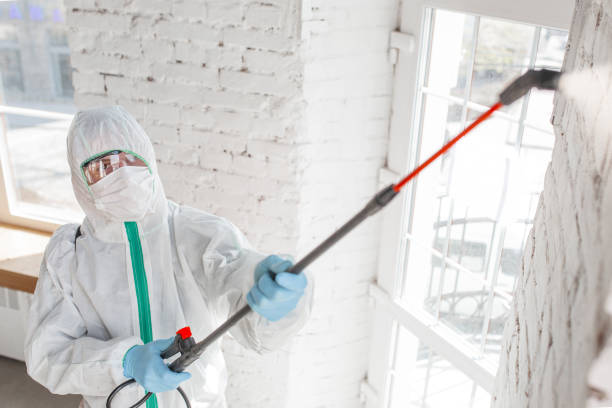 Best Mold Remediation for Healthcare Facilities  in Bentonville, AR