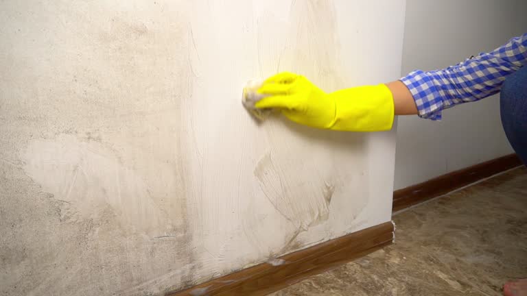 Best Emergency Mold Remediation  in Bentonville, AR